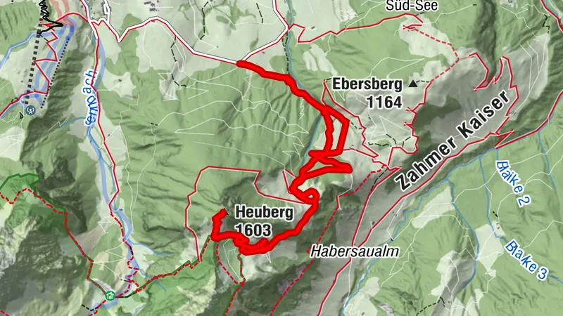 Walchsee - Heuberg (Schneeschuhwandern)