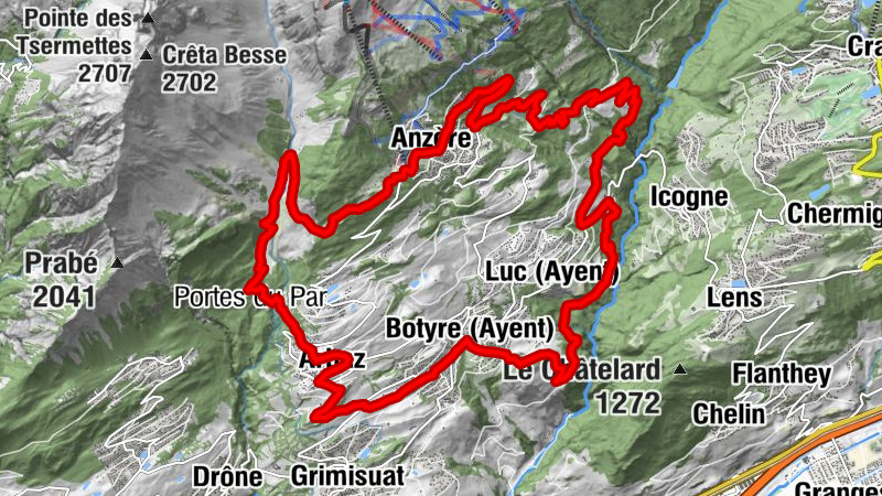 Carte