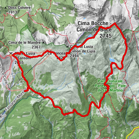 Carte