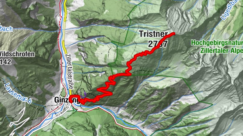 Carte