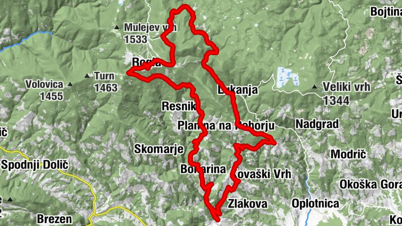 Rogla iz Zreč
