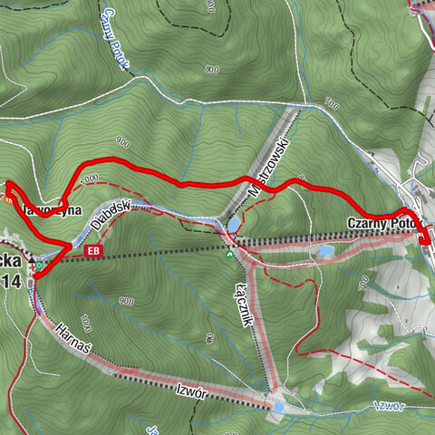 Krynica-Zdrój - Schronisko PTTK Jaworzyna Krynicka - Gospoda na Jaworzynie Krynickiej - Jaworzyna Krynicka