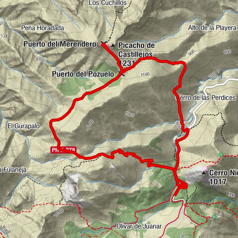 Ojén - Puerto del Pozuelo - Puerto del Merendero - Picacho de Castillejos