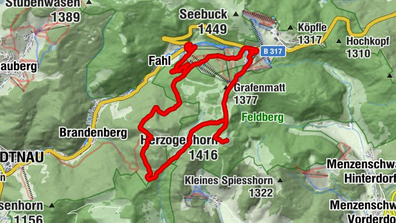 Carte