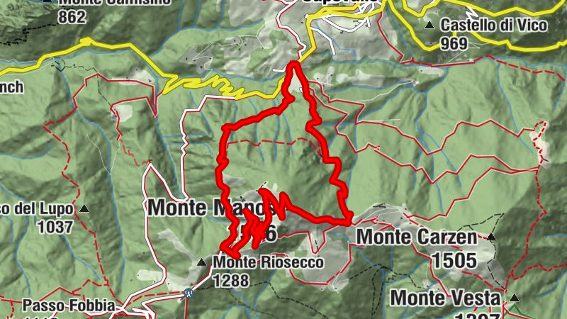Carte