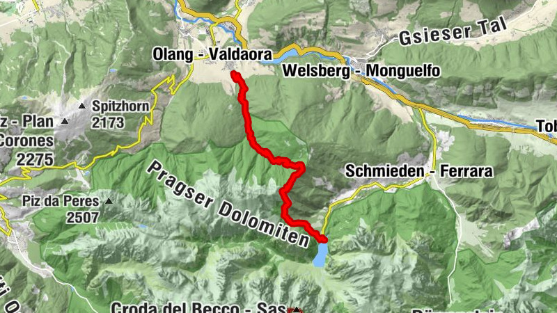 Carte