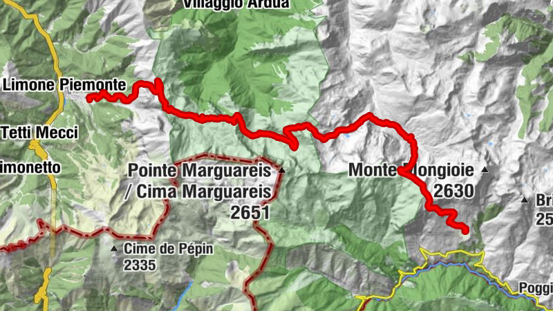 Carte