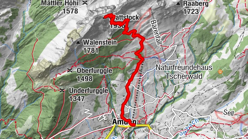 Carte