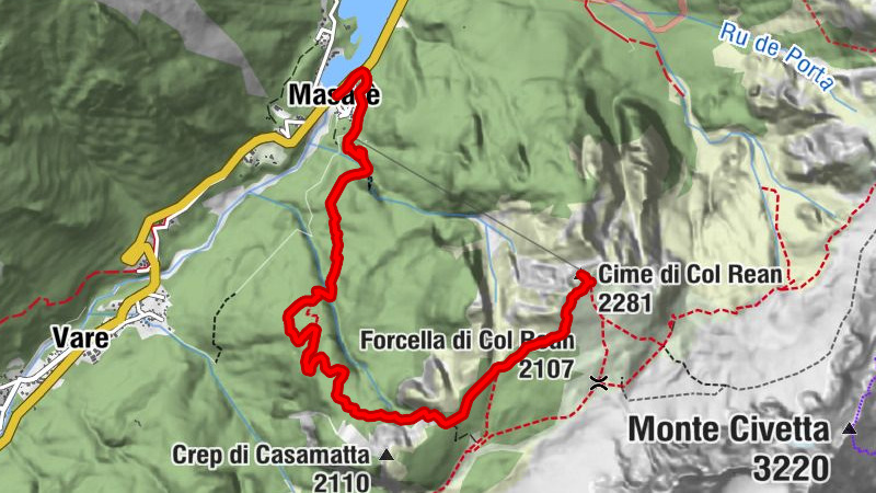 Carte