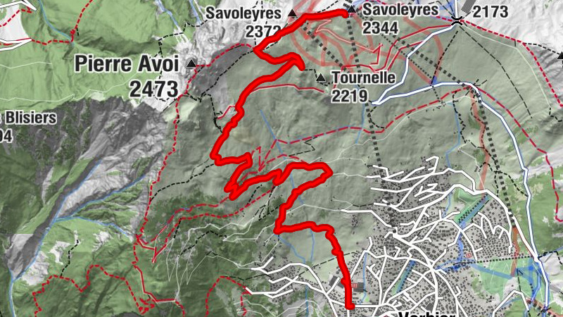 Carte