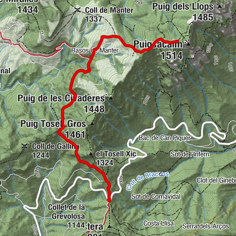 Sant Pere de Torelló - Collada de Sant Bartomeu - Puigsacalm Xic - Puigsacalm