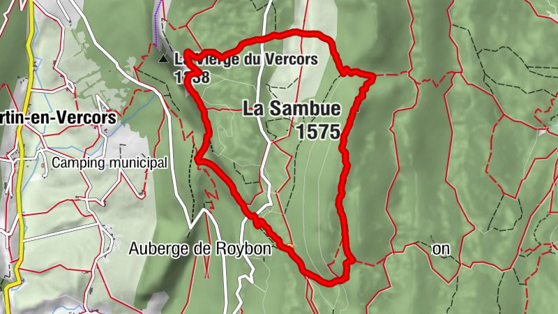 Carte