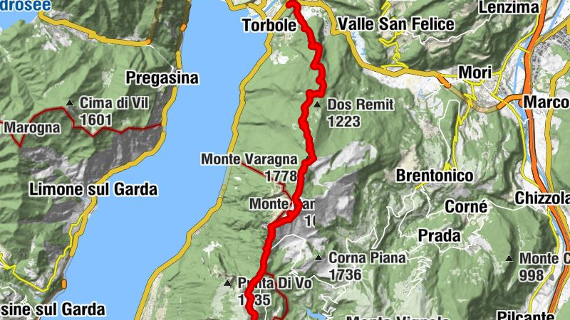 Carte