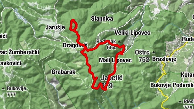 Carte