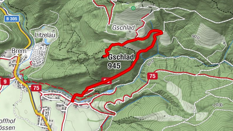 Carte