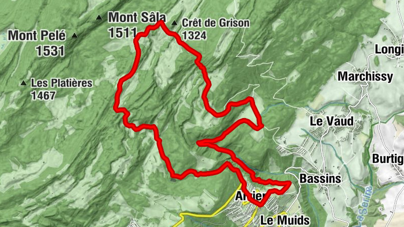 Carte
