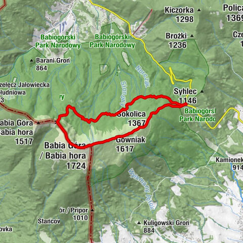 Przełęcz Krowiarki - Kępa - Mały Garb Wyżni - Babia Góra / Babia hora