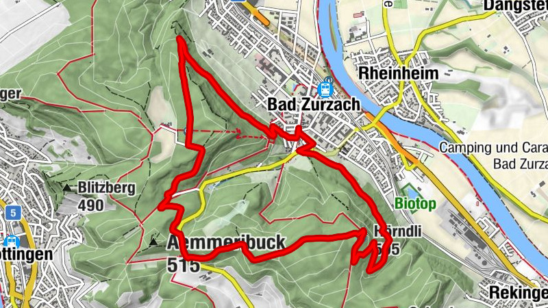 Carte