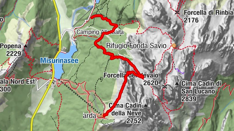 Carte