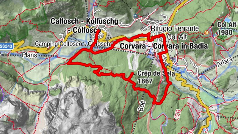 Carte