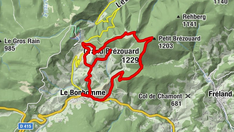 Carte