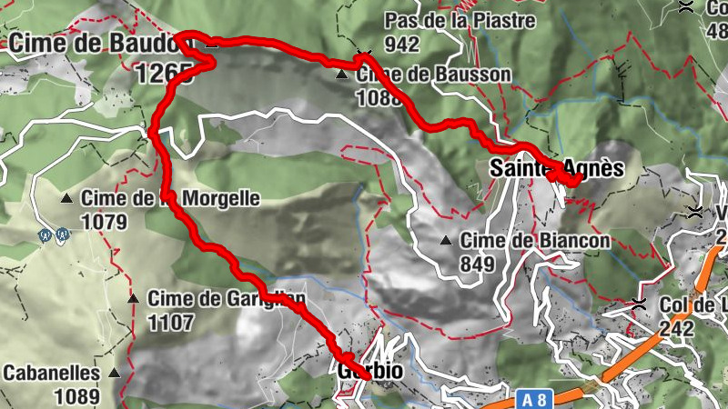 Carte
