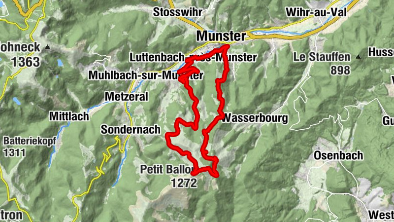 Carte