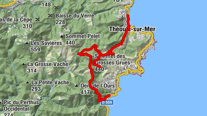 Carte