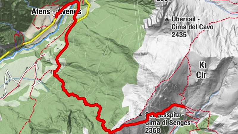 Carte