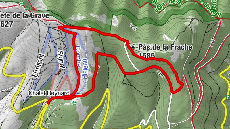 Carte