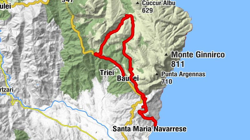Carte