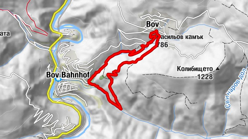 Carte