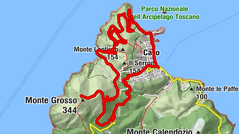 Carte