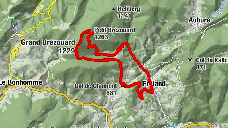 Carte