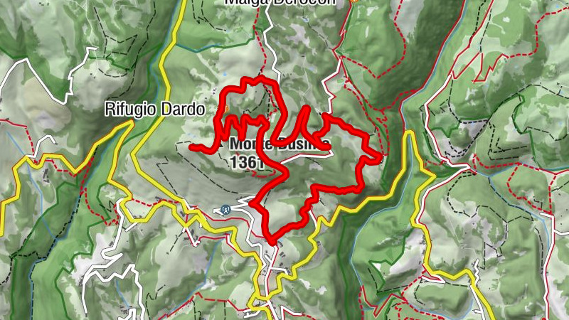 Carte