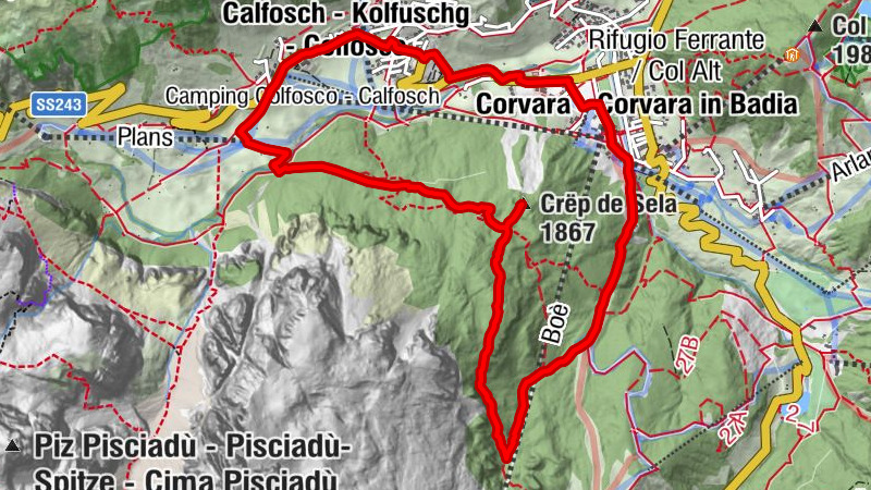 Carte