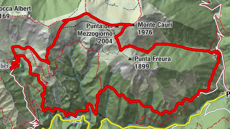 Carte