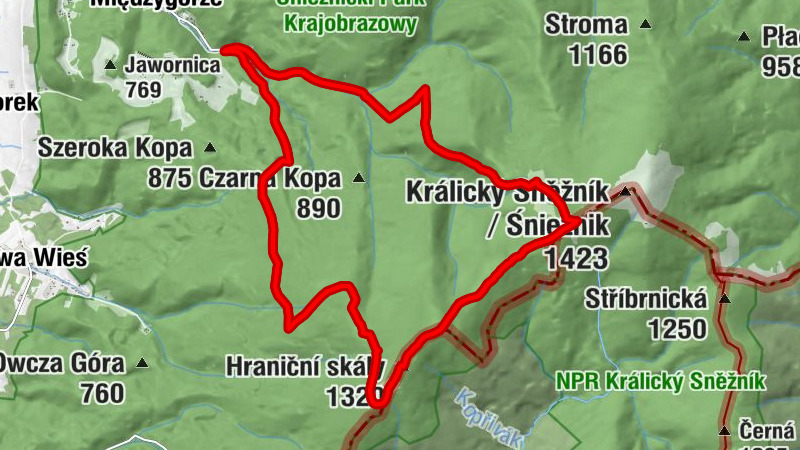 Carte