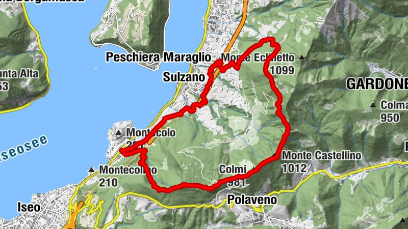 Carte