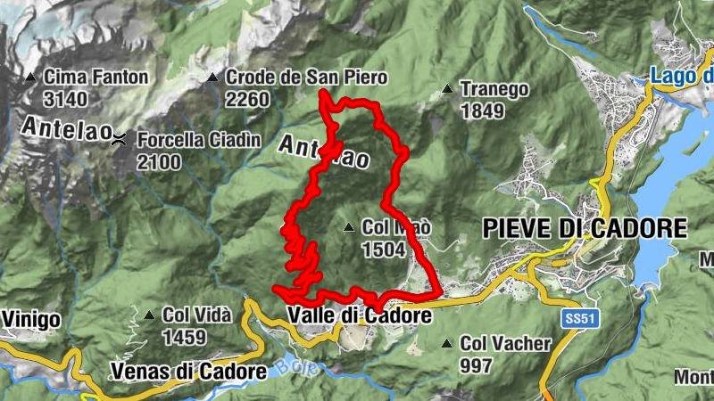 Carte