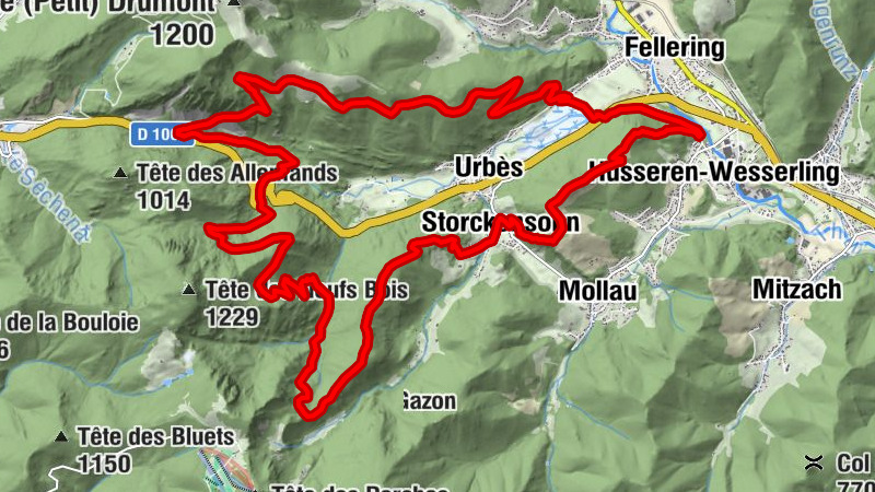 Carte