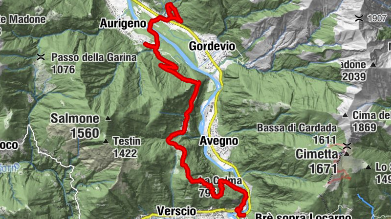 Carte