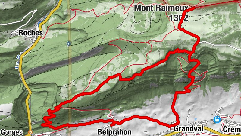 Carte