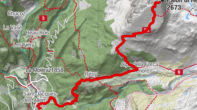 Carte