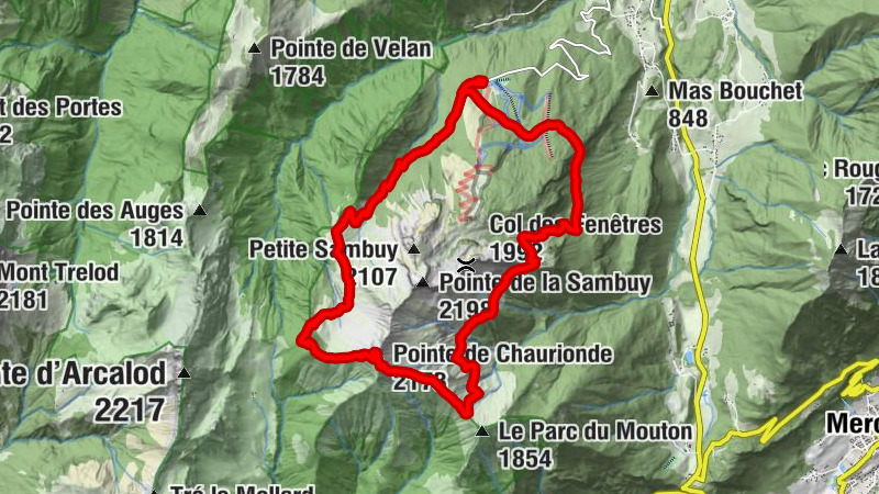 Carte