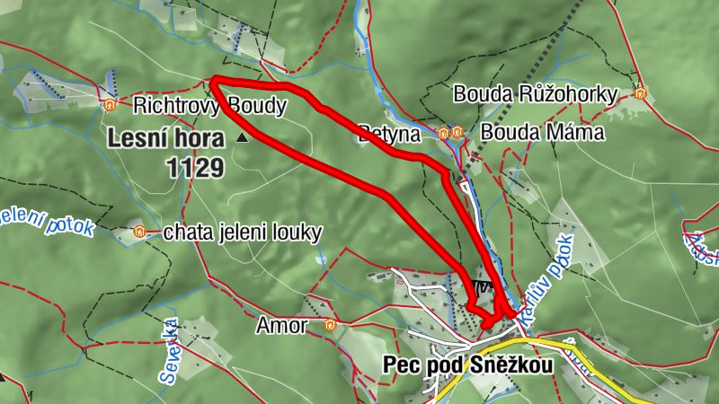 Carte
