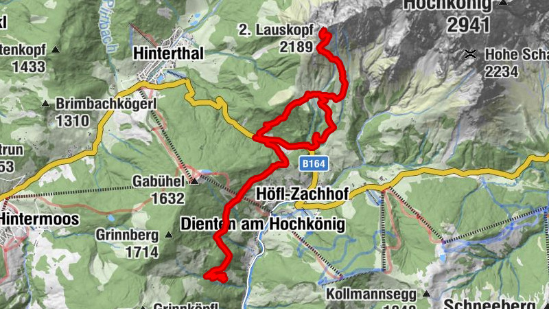 Carte