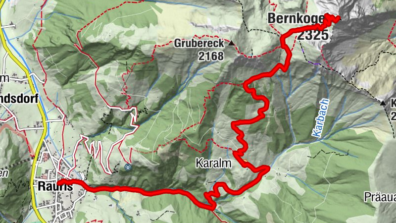 Carte