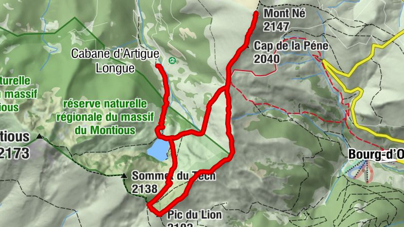 Carte