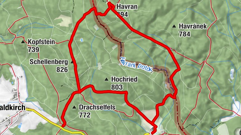 Carte